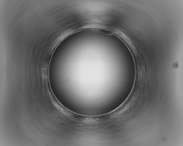 X0000090971049200708091432