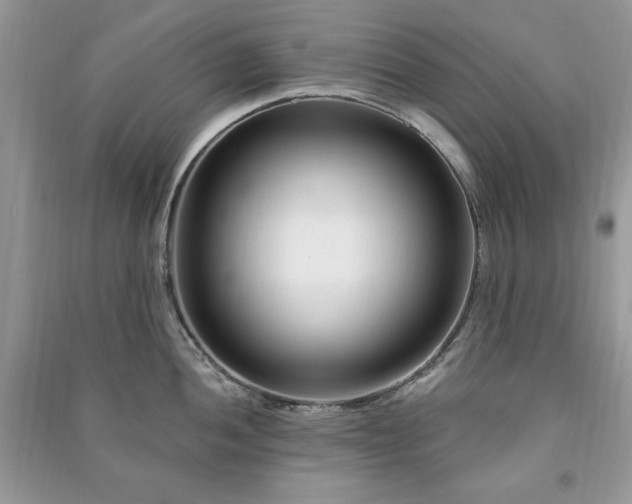 X0000090971052200708091432