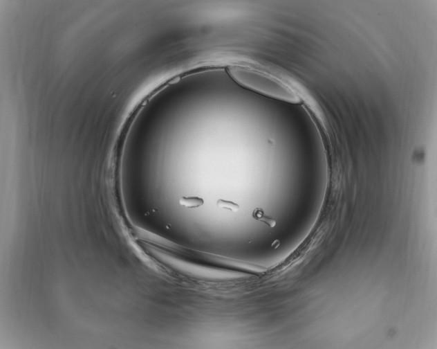 X0000090971053200708091432