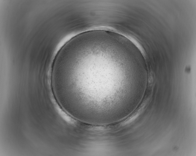 X0000090971054200708091432