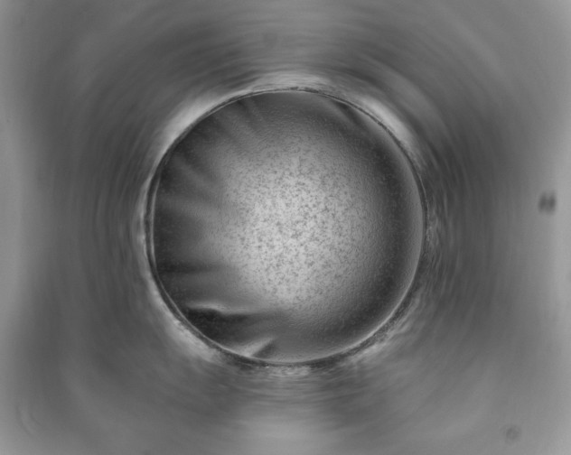 X0000090971055200708091432