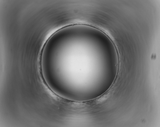 X0000090971056200708091432