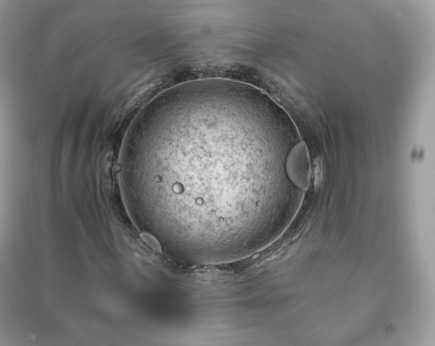 X0000090971059200708091431