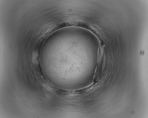 X0000090971060200708091431