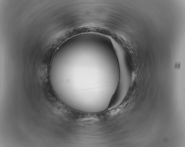 X0000090971062200708091431