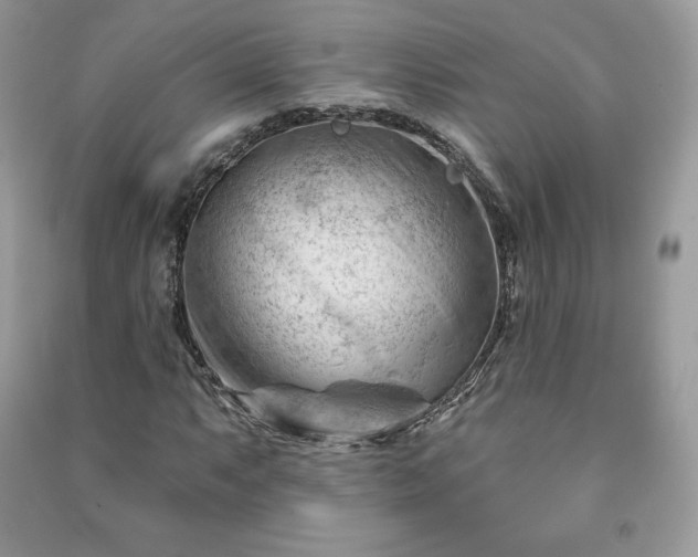 X0000090971063200708091431