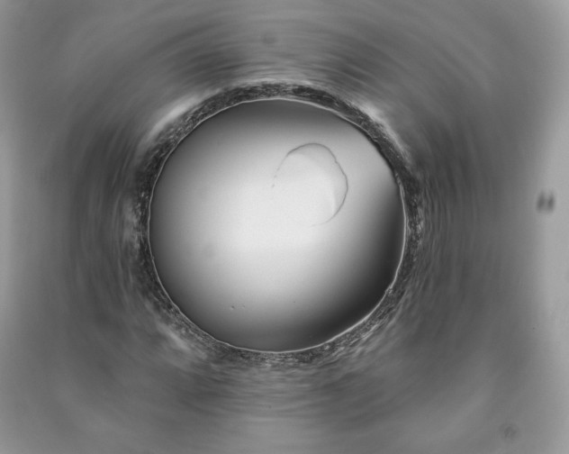 X0000090971064200708091431