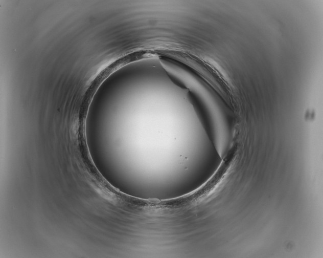 X0000090971065200708091431