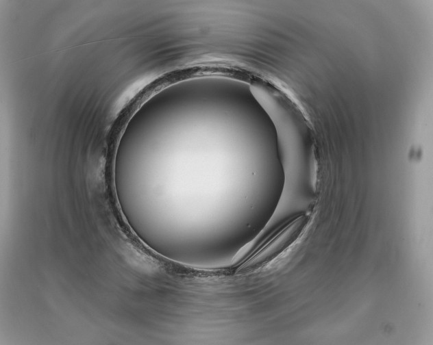 X0000090971066200708091431