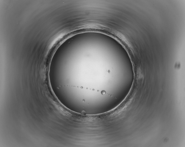 X0000090971067200708091431