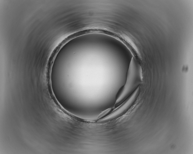 X0000090971068200708091431