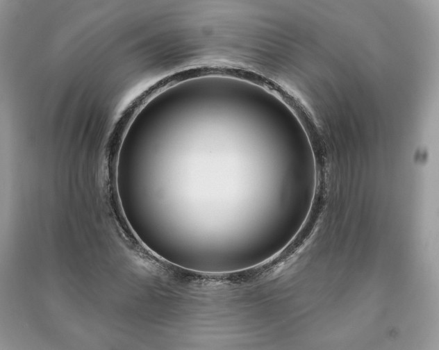 X0000090971070200708091431