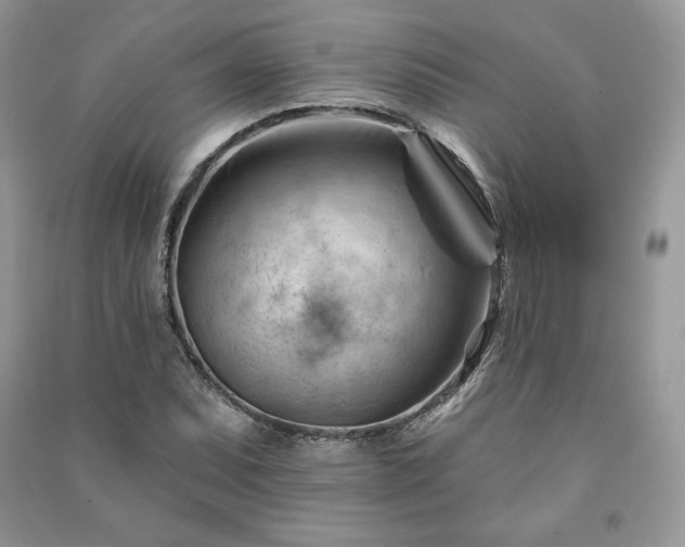 X0000090971071200708091431