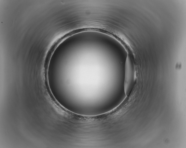 X0000090971072200708091431