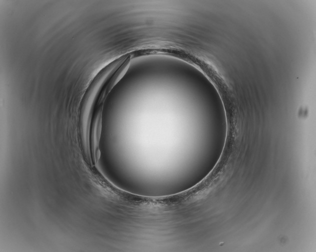 X0000090971073200708091431