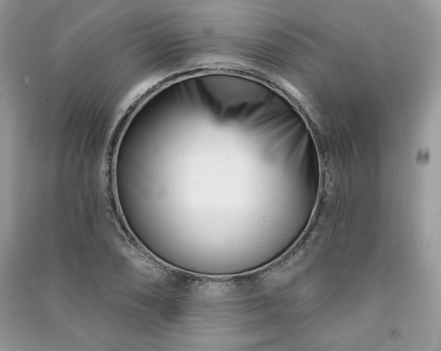 X0000090971074200708091431