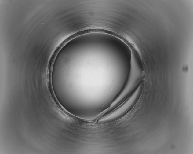 X0000090971076200708091431