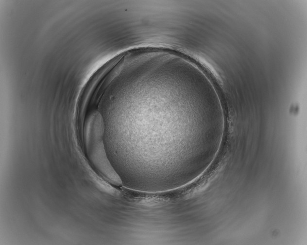 X0000090971077200708091431