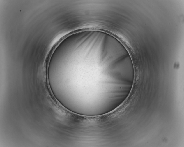 X0000090971078200708091431