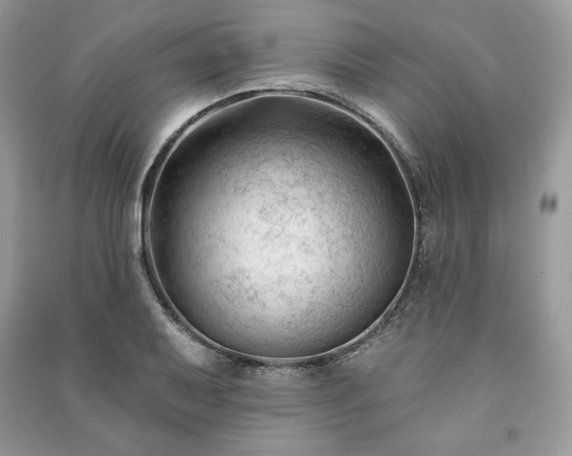 X0000090971079200708091431