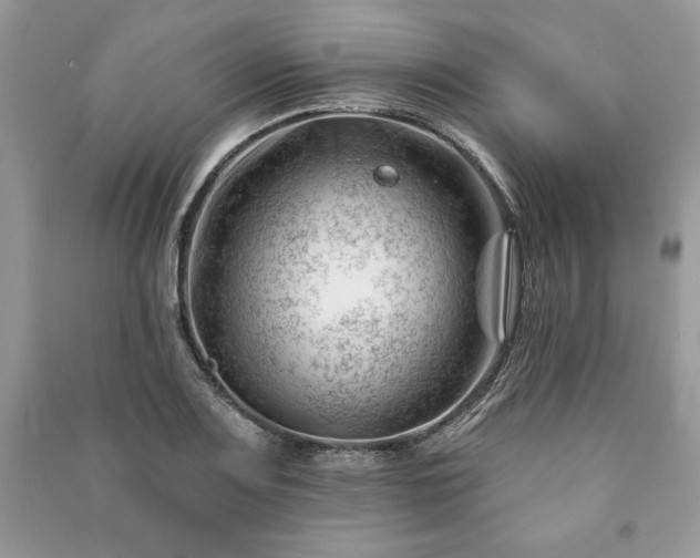 X0000090971083200708091431