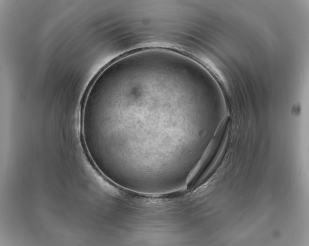 X0000090971084200708091431