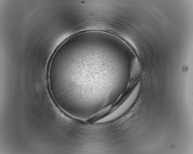 X0000090971087200708091430