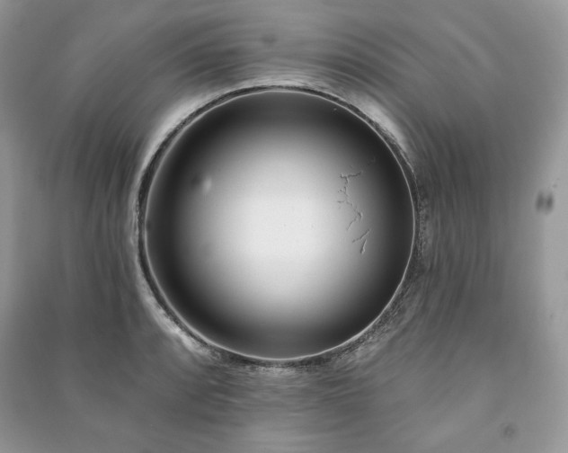 X0000090971088200708091430