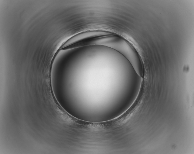 X0000090971089200708091430