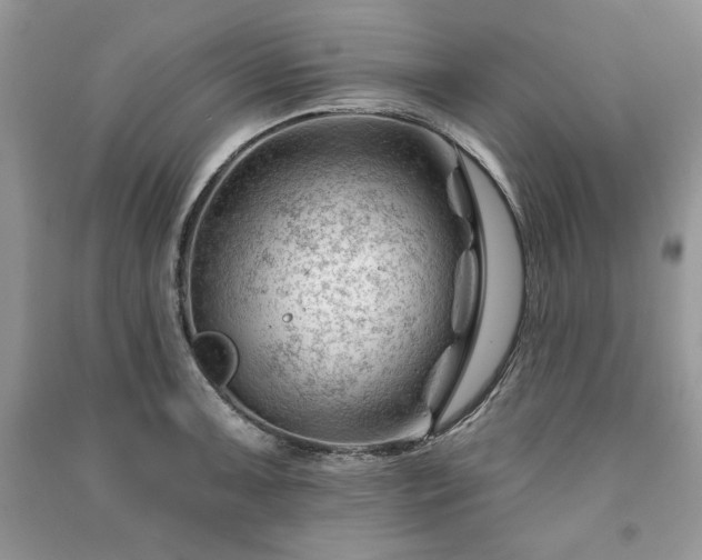 X0000090971091200708091430