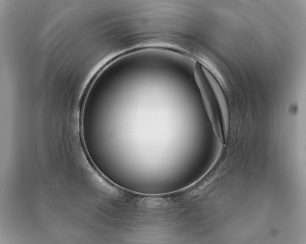 X0000090971092200708091430