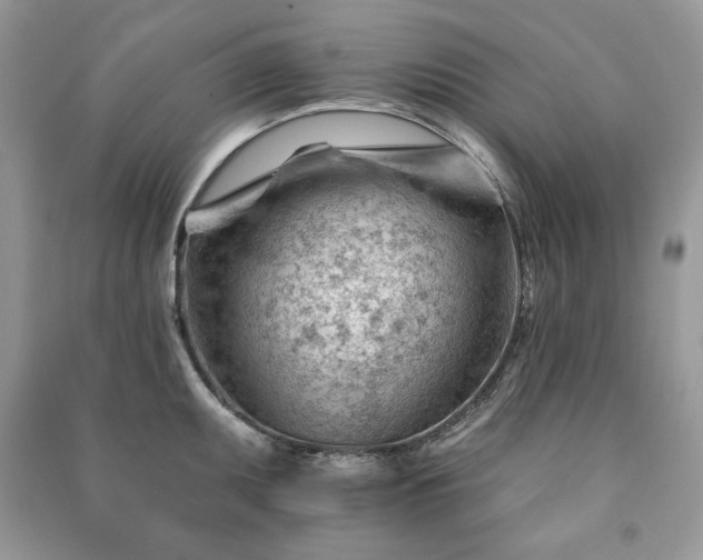 X0000090971095200708091430