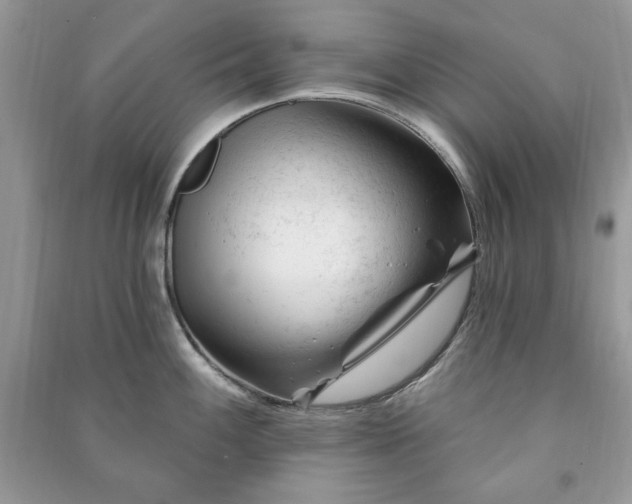 X0000090971100200708091430