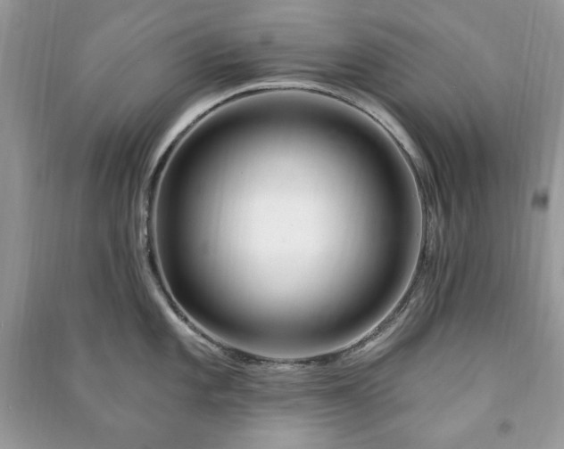 X0000090971101200708091430