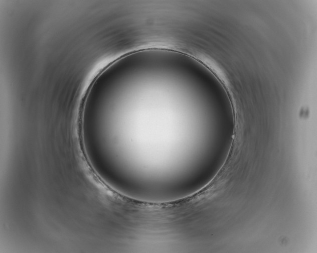 X0000090971104200708091430