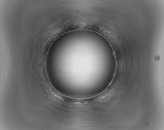 X0000090971105200708091429