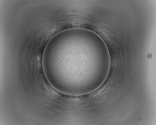 X0000090971106200708091429