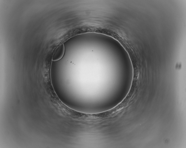 X0000090971109200708091430