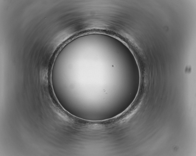 X0000090971113200708091430