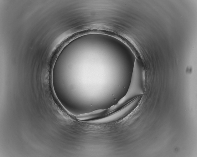 X0000090971115200708091430