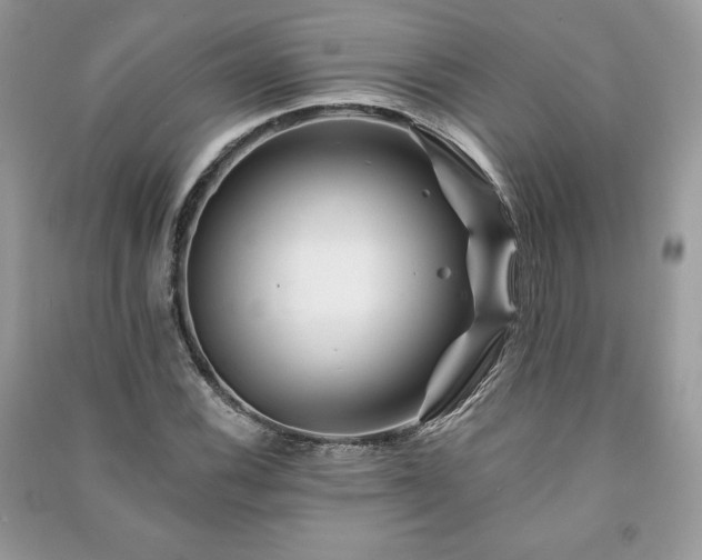 X0000090971116200708091430