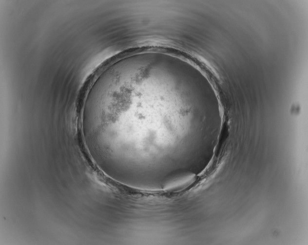 X0000090971117200708091430