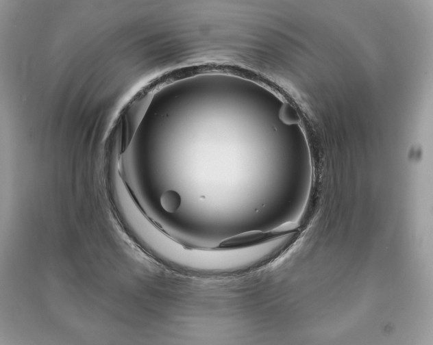 X0000090971118200708091430