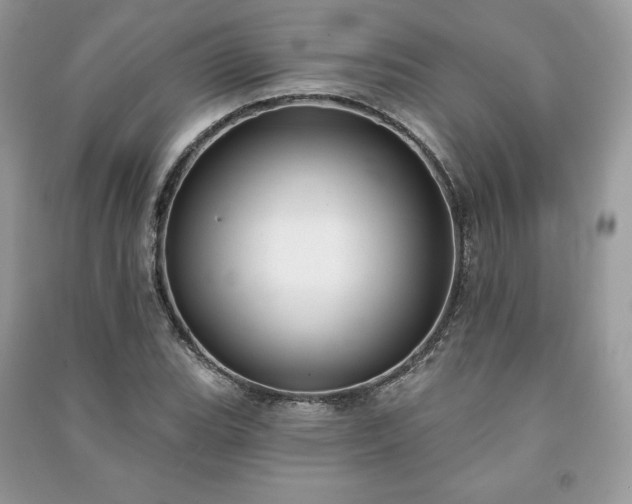 X0000090971119200708091430