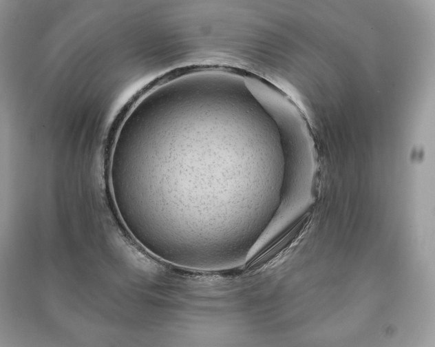 X0000090971120200708091430