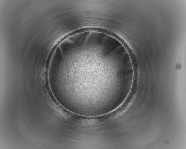 X0000090971121200708091430