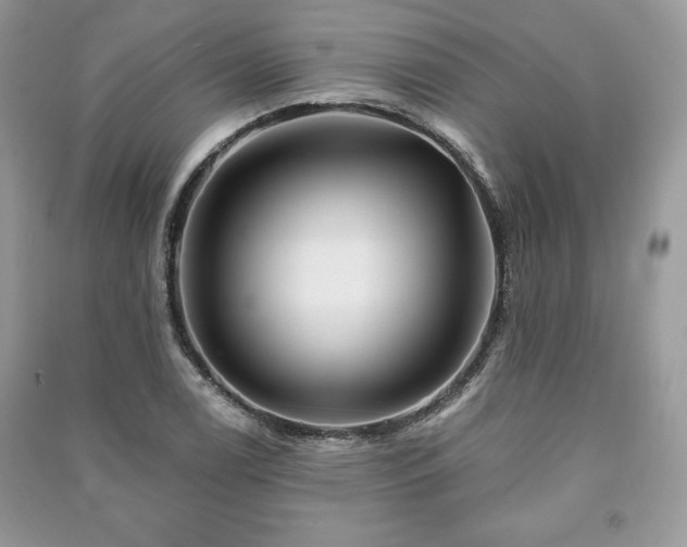 X0000090971122200708091430