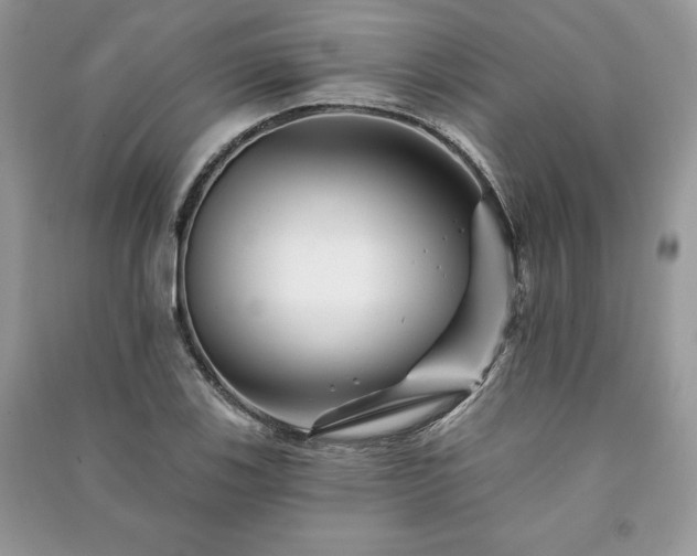 X0000090971123200708091430