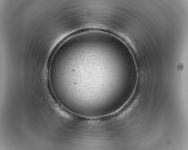 X0000090971125200708091430