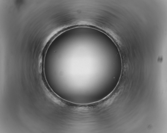 X0000090971126200708091430